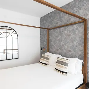 book here