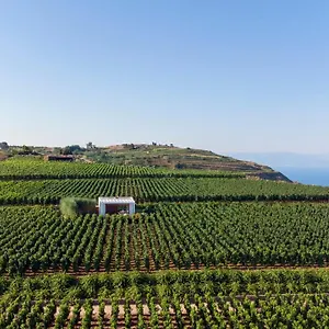  Station touristique Tenuta Di Castellaro Winery &